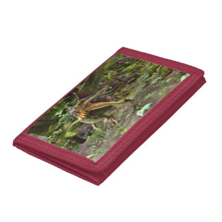 Dinosaur Spinosaurus Trifold Wallet