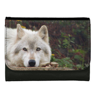 Gray wolf wallets