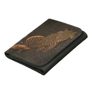 Peckoltia Compta Leather Wallets