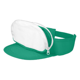 Teal Cap-sac Visor