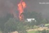 Man forced to flee Christchurch bushfire