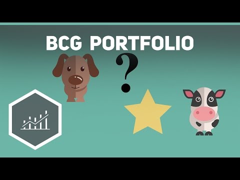 BCG Portfolio einfach erklärt