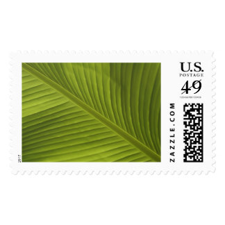 Banana Leaf Color Photo Detail, V002 Postage