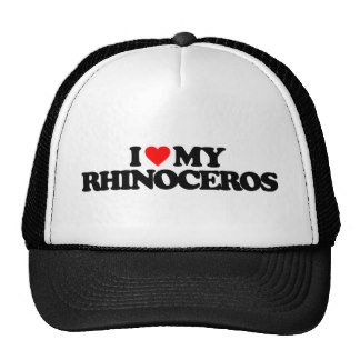 AMO MI RINOCERONTE GORROS BORDADOS