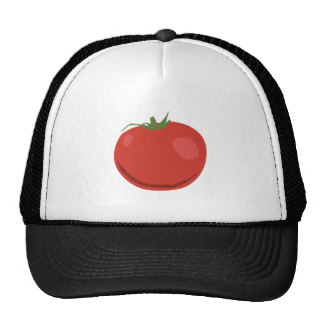 Tomate Gorros Bordados