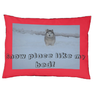 Cama para el perro esquimal de la nieve