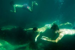 Swimmers cool off at Clovelly beach during an intense heatwave in Sydney. 10th February 2017 Photo: Janie Barrett .