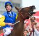 Brad Rawiller riding Black Heart Bart at Caulfield.