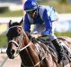 SYDNEY, AUSTRALIA - FEBRUARY 13: Hugh Bowman riding Winx wins Race 8 in the Apollo Stakes at Royal Randwick Racecourse ...