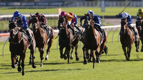 Streets ahead: Winx leads the field home at Randwick.