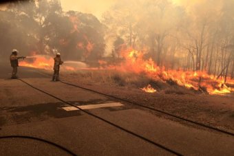 Two firefighters with hoses standing on a road try to extinguish flames burning in the bush.