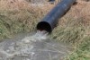 An irrigation bore flowing