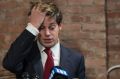 Milo Yiannopoulos: ''could be Trump's lost gay child.''