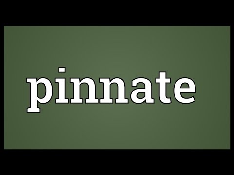 Pinnate Meaning