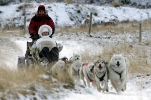 Huskies pulling a sleigh.