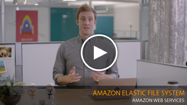 23-Amazon Elastic File System_play