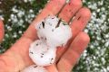 Golf ball-sized hail at Turramurra on Saturday afternoon.