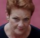 Senator Pauline Hanson has suggested women are getting pregnant just to receive paid parental leave.