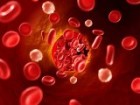 Illustration of blood cells inside a blood vessel