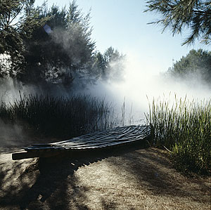 image: the marsh pond in the Sculpture Garden (background) Fujiko Nakaya 'Fog sculpture' 1976 water vapour (foreground) Robert Stackhouse 'On the beach again' 1984 bronze both Collection of the National Gallery of Australia