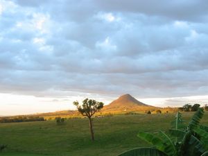 Land Sweet Land in the Scenic Rim