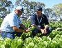 FRESH FOOD: Javier Saldana chats with Lockyer Valley Growers Group president Michael Sippel. The region is gearing up for international exports.