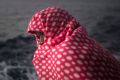 A man rests aboard Golfo Azurro, the Spanish NGO Proactiva Open Arms rescue ship, after being rescued from a boat out of ...