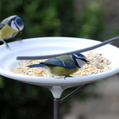  - Stake bird bath and feeding bowl - Bird Baths