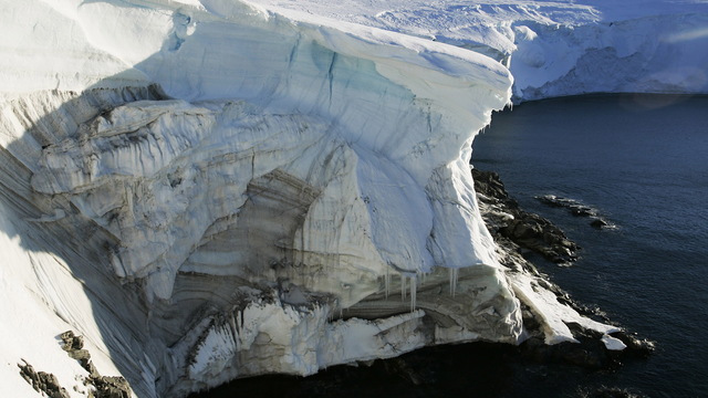 H07 antarctica