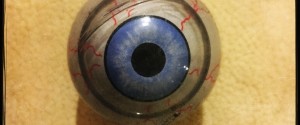 ojo