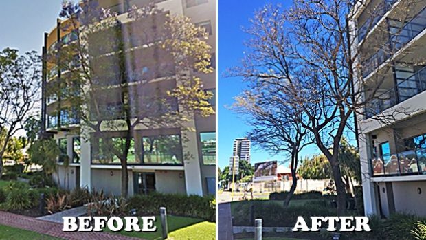 Google photographs from November 2015 (left) show the trees outside the second flooded building alive. The trees are now ...