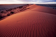 Simpson Desert