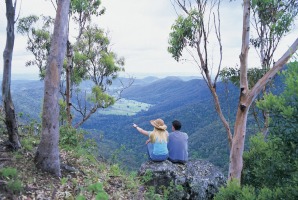 Lamington National Park on the Gold Coast.