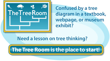 The Tree Room Web Graphic linking to the Tree Room section of the site