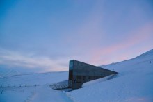 The Doomsday Vault (ABC News)