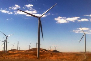 A wind farm near Burra in South Australia (AAP: Angela Harper)