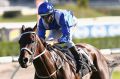 SYDNEY, AUSTRALIA - FEBRUARY 13: Hugh Bowman riding Winx wins Race 8 in the Apollo Stakes at Royal Randwick Racecourse ...