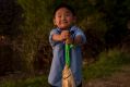 Zachary Zhao, 4, fishing on Lake Burley Griffin. The fishing community hopes the carp virus to be released next year ...