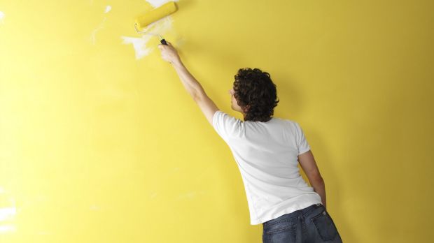 Industry figures suggest the number of unskilled painters in NSW has grown since painting licensing laws changed in 2015.