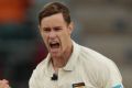 WA's Jason Behrendorff celebrates.