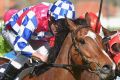 Damien Oliver riding Fell Swoop to victory at Caulfield in 2015. The champion jockey is gunning for three in a row on ...