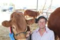 Mason Galpin, of Penola, won the supreme exhibit with his limousin cow at the Tyrendarra Show.