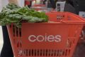 A focus on lowering prices was a big factor as Coles earnings fell 6.8 per cent.  