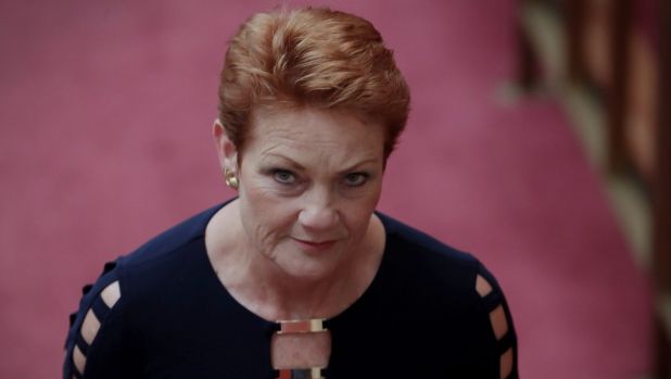 Senator Pauline Hanson has suggested women are getting pregnant just to receive paid parental leave.