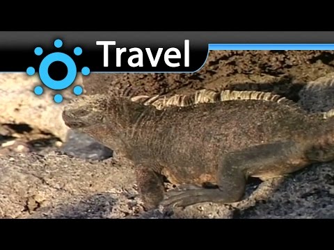 Galapagos Islands Vacation Travel Video Guide