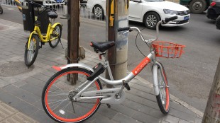 Des vélos en libre-service et en toute liberté.