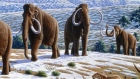 Woolly Mammoth