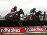 Th ebig gamble: Ladbrokes drafted in Deloitte in 2008