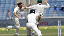 Steve O'Keefe celebrates Virat Kohli's misery