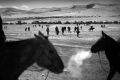 The Naadam festival of Mongolia is a much loved and celebrated festival. Children ride in a 28-kilometre horse race, ...